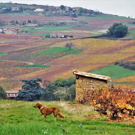 Bed & Breakfast Le Vieux Pont Saint-Julien (Rhone)